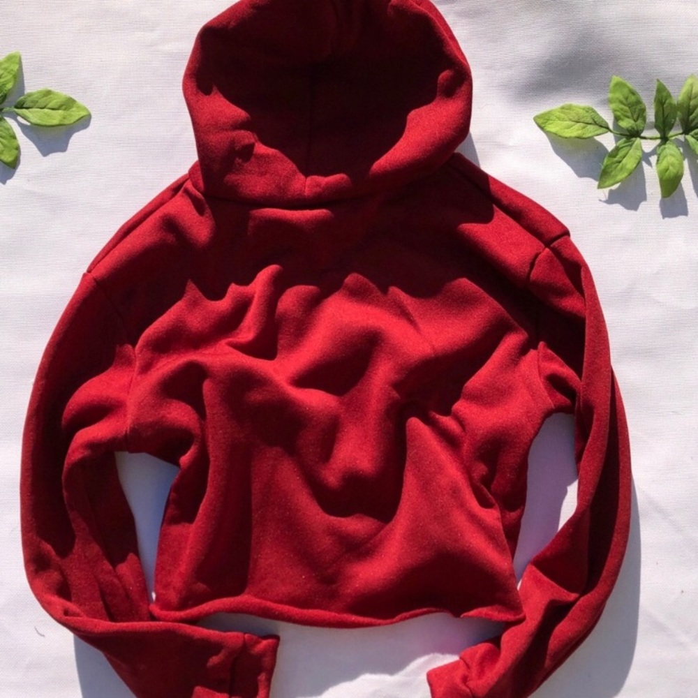 ｃｒｏｐ  ｈｏｏｄｉｅ - Picture 3 of 3